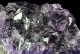 Purple Amethyst Cluster - Uruguay #66778-2